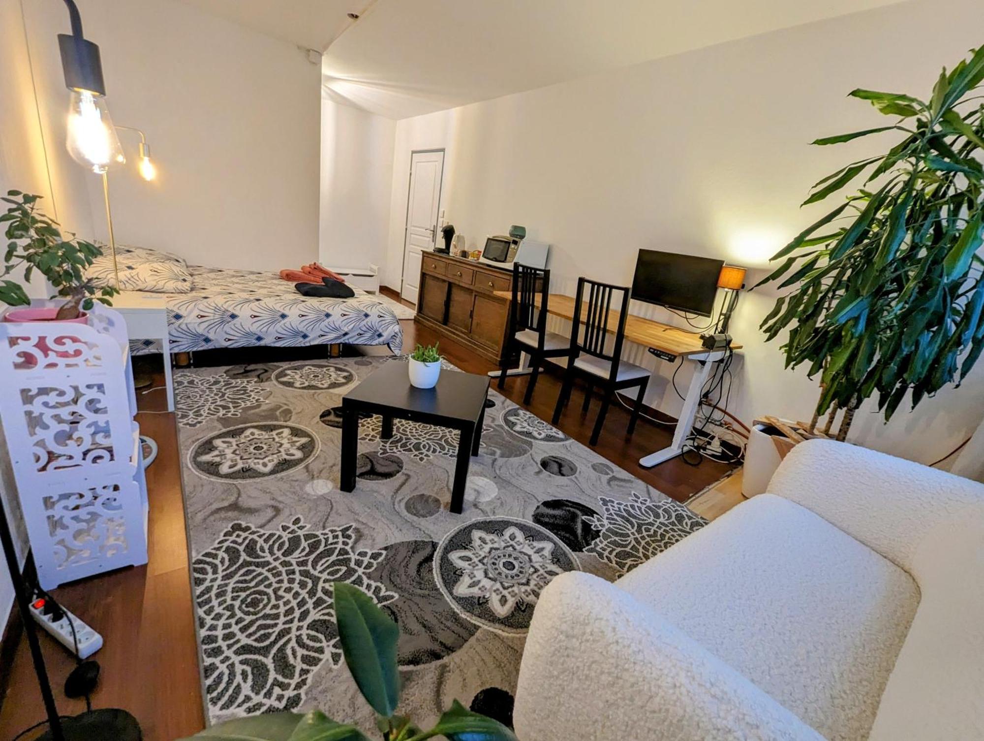 Apartmán Chez Les P'Tits Loups Štrasburk Exteriér fotografie
