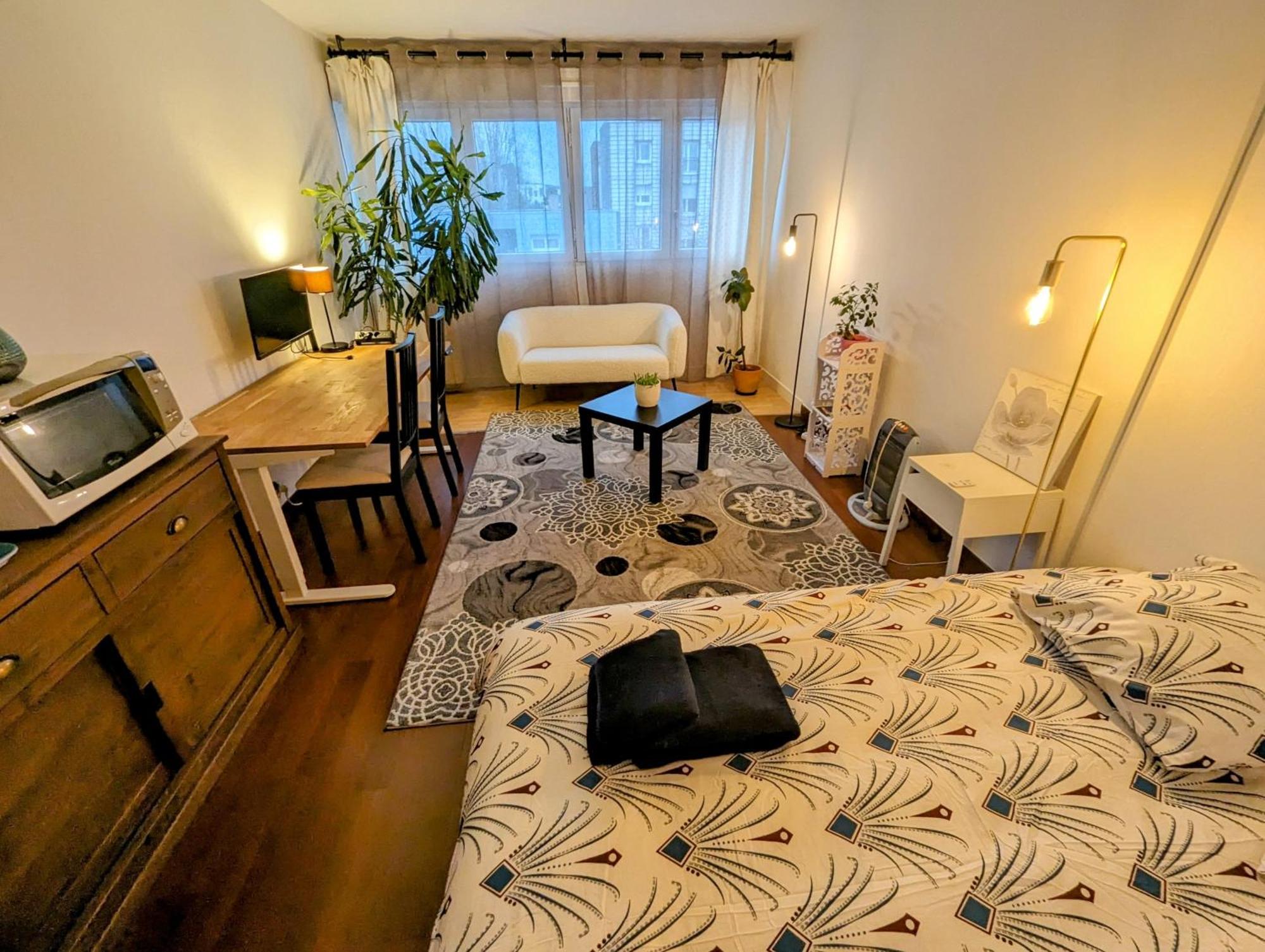 Apartmán Chez Les P'Tits Loups Štrasburk Exteriér fotografie